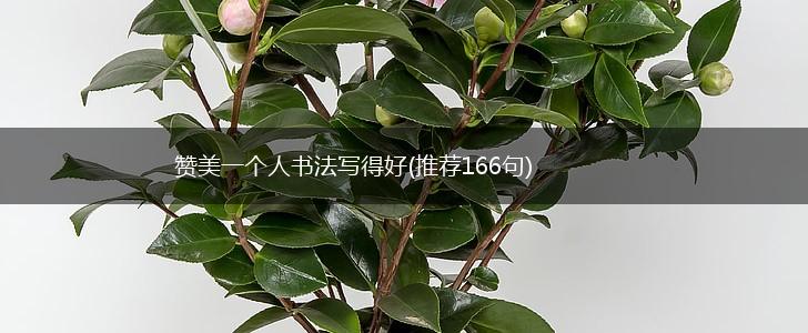 赞美一个人书法写得好(推荐166句),第1张