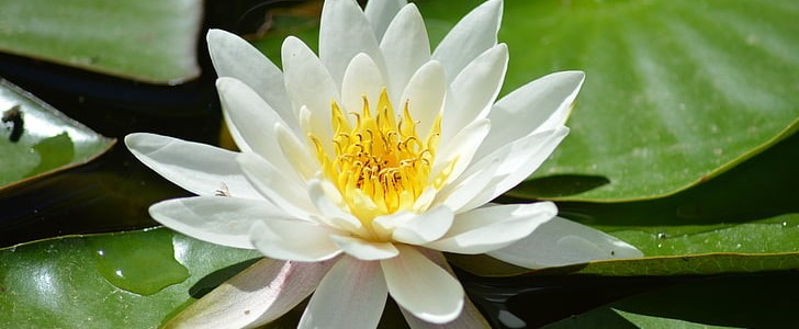 星空的唯美句子(通用160句),第3张