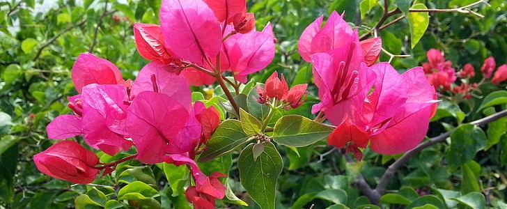 祝祖国繁荣昌盛(合集144句),第2张