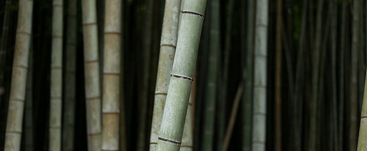 越简单越幸福(精选150句),第3张