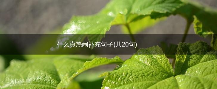 什么真热闹补充句子(共20句),第1张