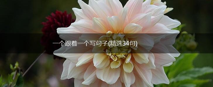 一个跟着一个写句子(精选34句),第1张