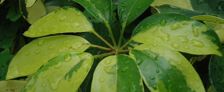 爱国的优美句子(合集116句),第3张