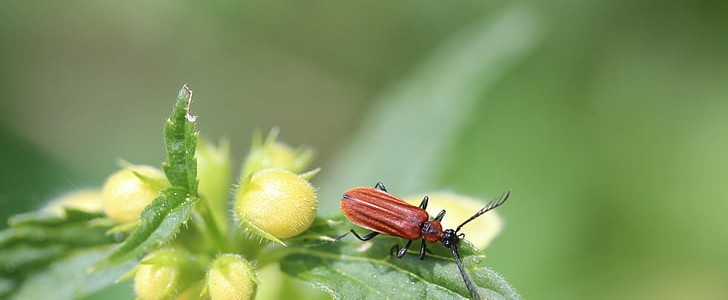 现实的句子(推荐160句),第3张