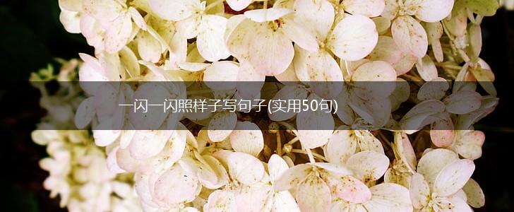 一闪一闪照样子写句子(实用50句),第1张