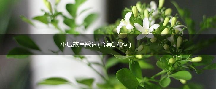 小城故事歌词(合集170句),第1张