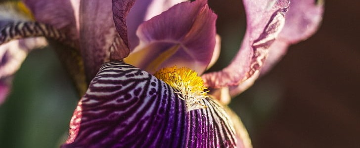 描写兔子的句子(合集119句),第3张