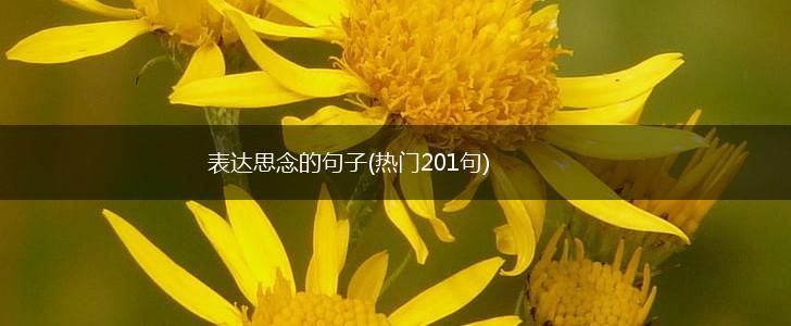 表达思念的句子(热门201句),第1张