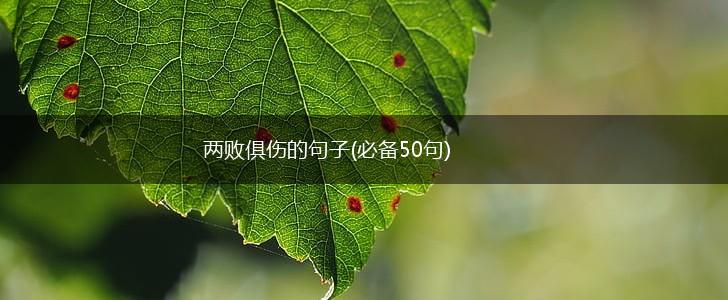 两败俱伤的句子(必备50句),第1张