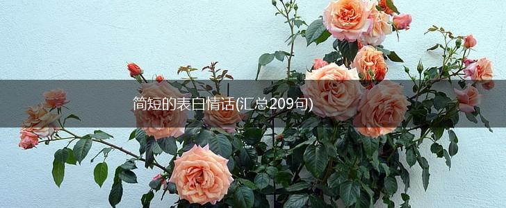 简短的表白情话(汇总209句),第1张