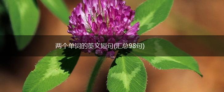 两个单词的英文短句(汇总98句),第1张