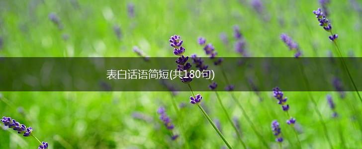 表白话语简短(共180句),第1张
