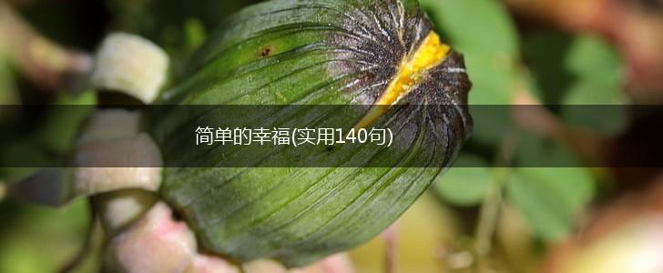 简单的幸福(实用140句),第1张