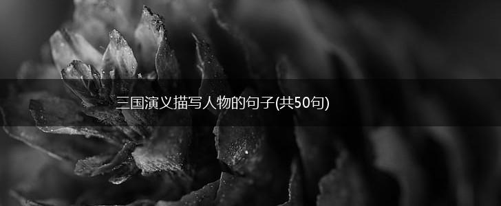 三国演义描写人物的句子(共50句),第1张