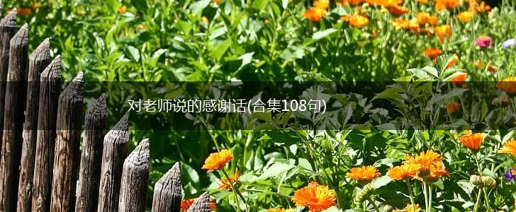 对老师说的感谢话(合集108句),第1张