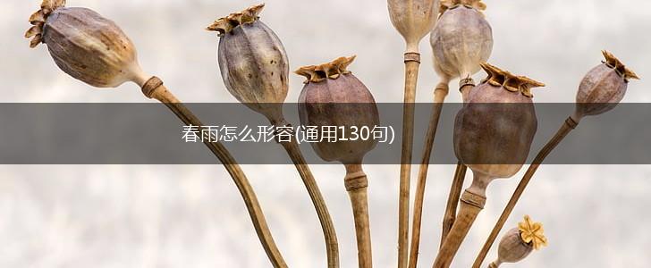 春雨怎么形容(通用130句),第1张