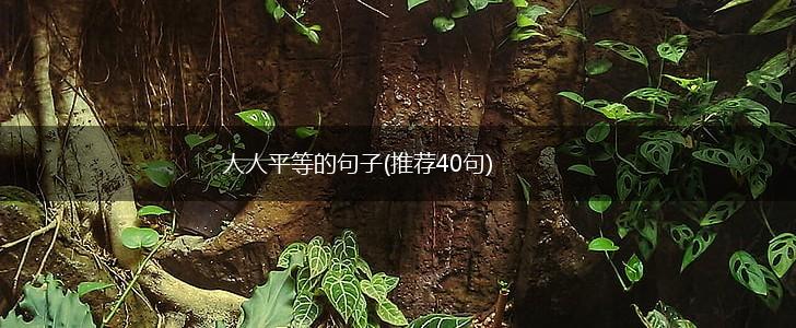 人人平等的句子(推荐40句),第1张