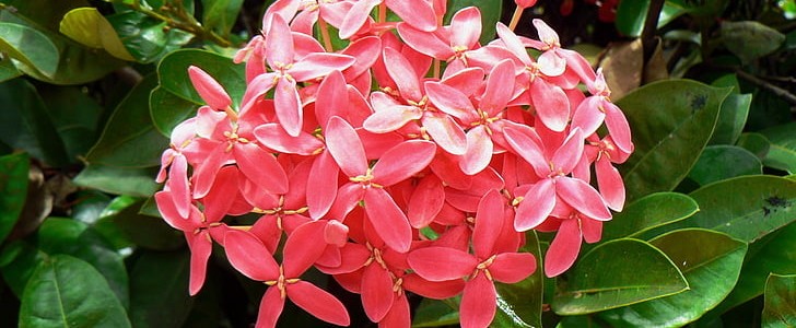 英语美文摘抄(精选374句),第2张