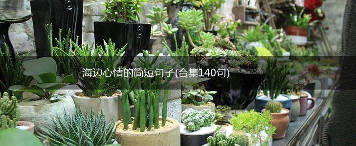 海边心情的简短句子(合集140句),第1张
