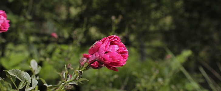 春雨怎么形容(通用130句),第2张