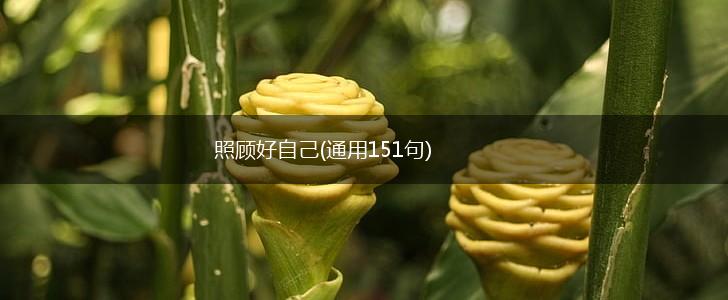 照顾好自己(通用151句),第1张