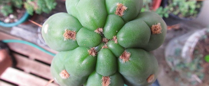 痛到心碎的句子(推荐160句),第3张