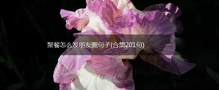 聚餐怎么发朋友圈句子(合集201句),第1张