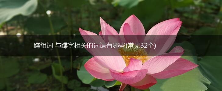 蹀组词 与蹀字相关的词语有哪些(常见32个),第1张