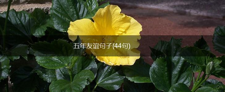 五年友谊句子(44句),第1张