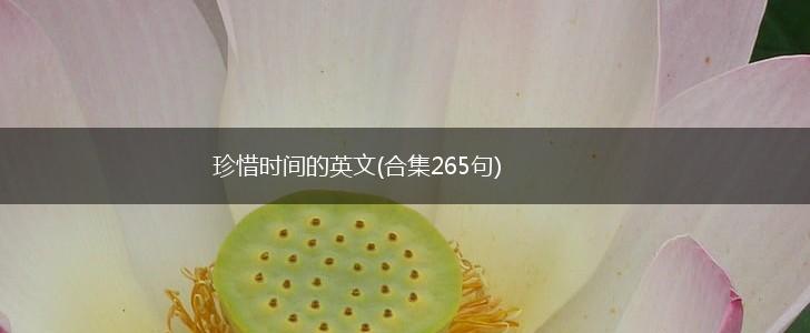 珍惜时间的英文(合集265句),第1张