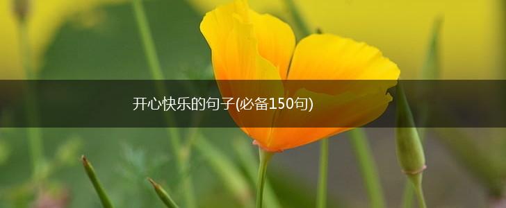 开心快乐的句子(必备150句),第1张