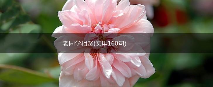 老同学相聚(实用160句),第1张