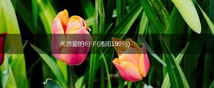 秀恩爱的句子(通用190句),第1张
