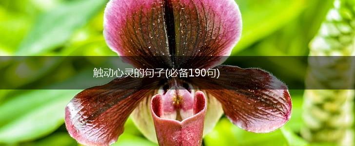 触动心灵的句子(必备190句),第1张