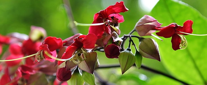 描写兔子的句子(合集119句),第2张