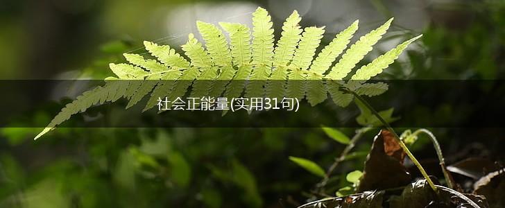 社会正能量(实用31句),第1张