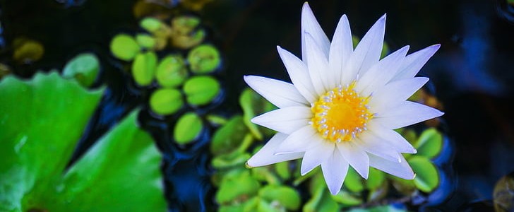 重新开始的句子励志(共150句),第3张