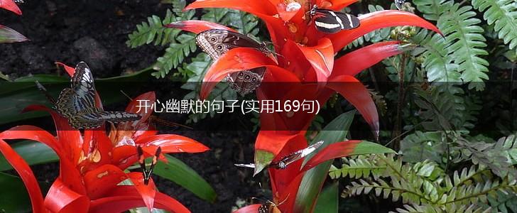 开心幽默的句子(实用169句),第1张