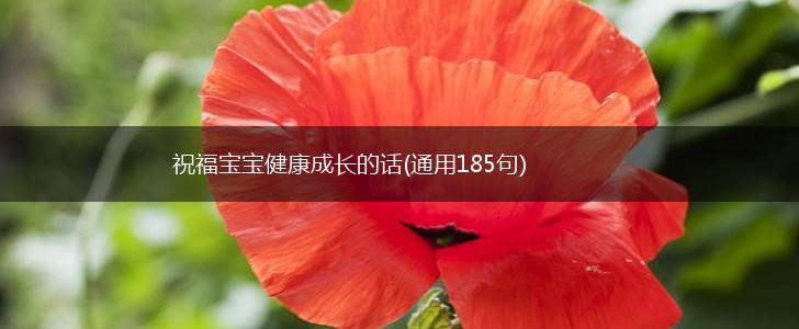 祝福宝宝健康成长的话(通用185句),第1张