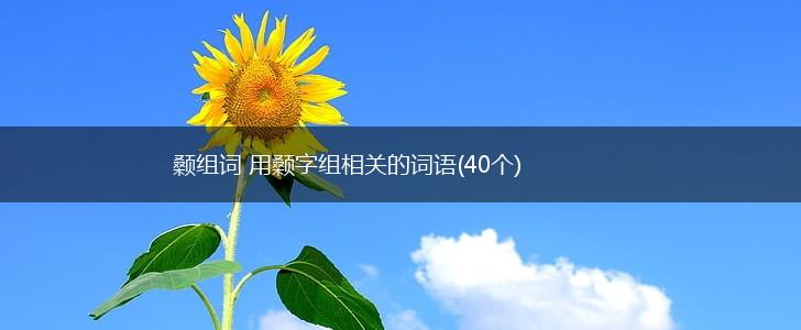 颡组词 用颡字组相关的词语(40个),第1张