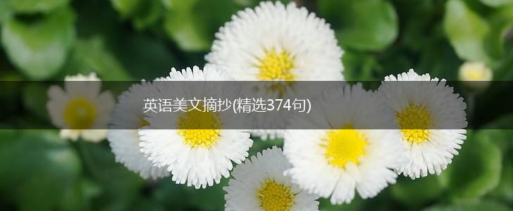 英语美文摘抄(精选374句),第1张