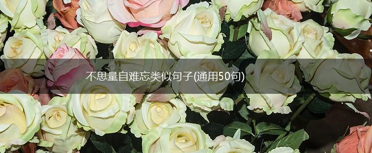 不思量自难忘类似句子(通用50句),第1张