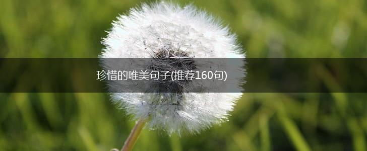 珍惜的唯美句子(推荐160句),第1张