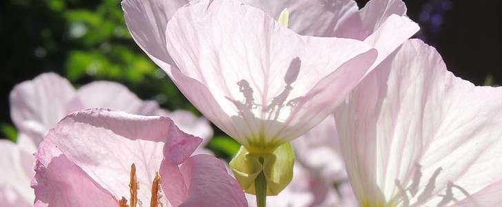 温馨的英语(优选328句),第2张