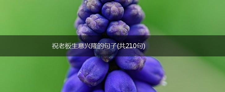 祝老板生意兴隆的句子(共210句),第1张