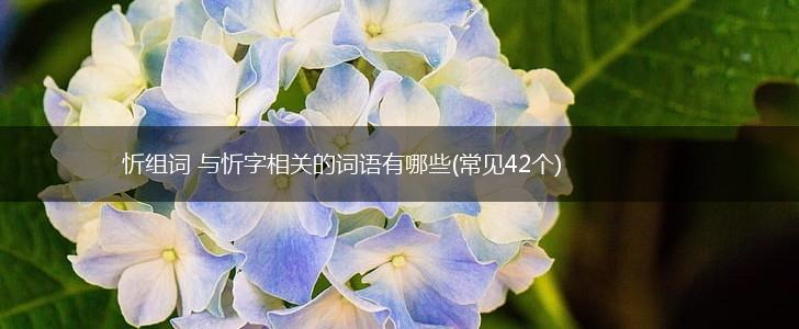 忻组词 与忻字相关的词语有哪些(常见42个),第1张
