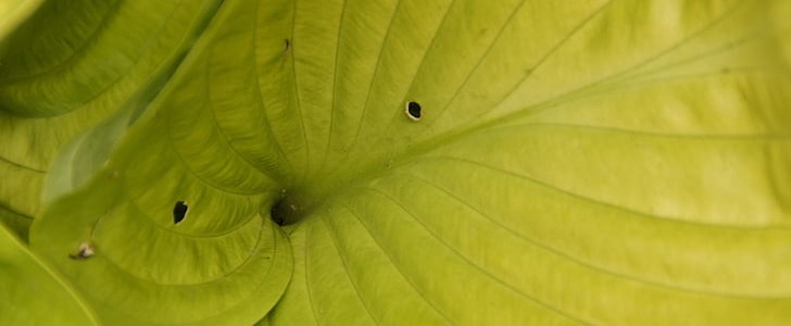 描写秋天的词句(必备194句),第3张