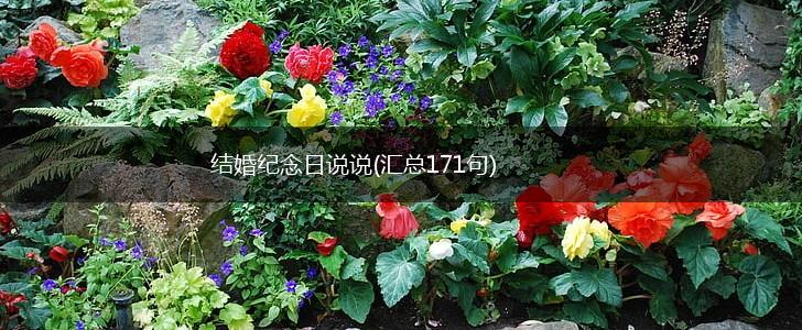 结婚纪念日说说(汇总171句),第1张