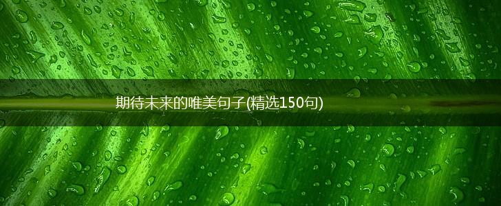 期待未来的唯美句子(精选150句),第1张