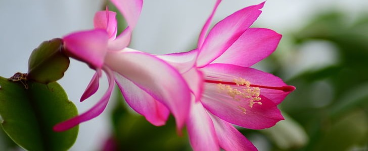 母爱的句子(汇总169句),第2张